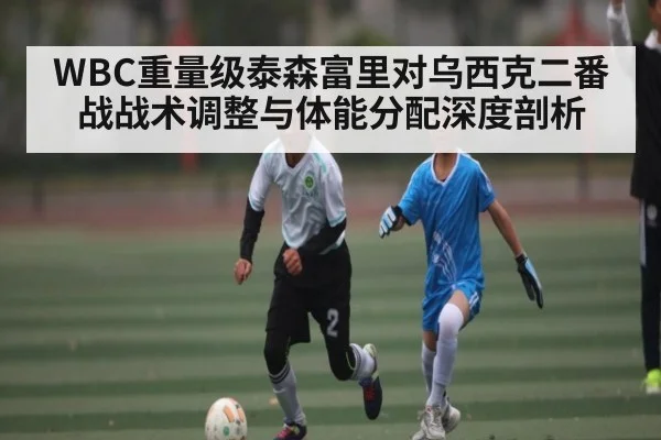 WBC重量级泰森富里对乌西克二番战战术调整与体能分配深度剖析（C7APP）
